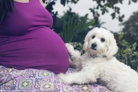 En espera del bebe para jugar