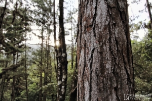Cerro Azul