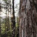 Cerro Azul